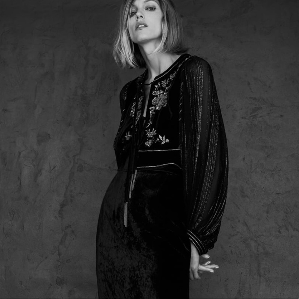 ZARA Embroidered Velvet Jacket - Picture 4 of 8